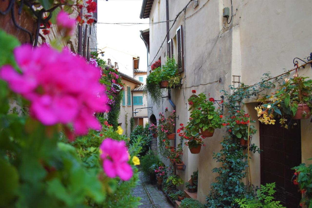 Borgo San Sisto Apartment Spello Exterior photo